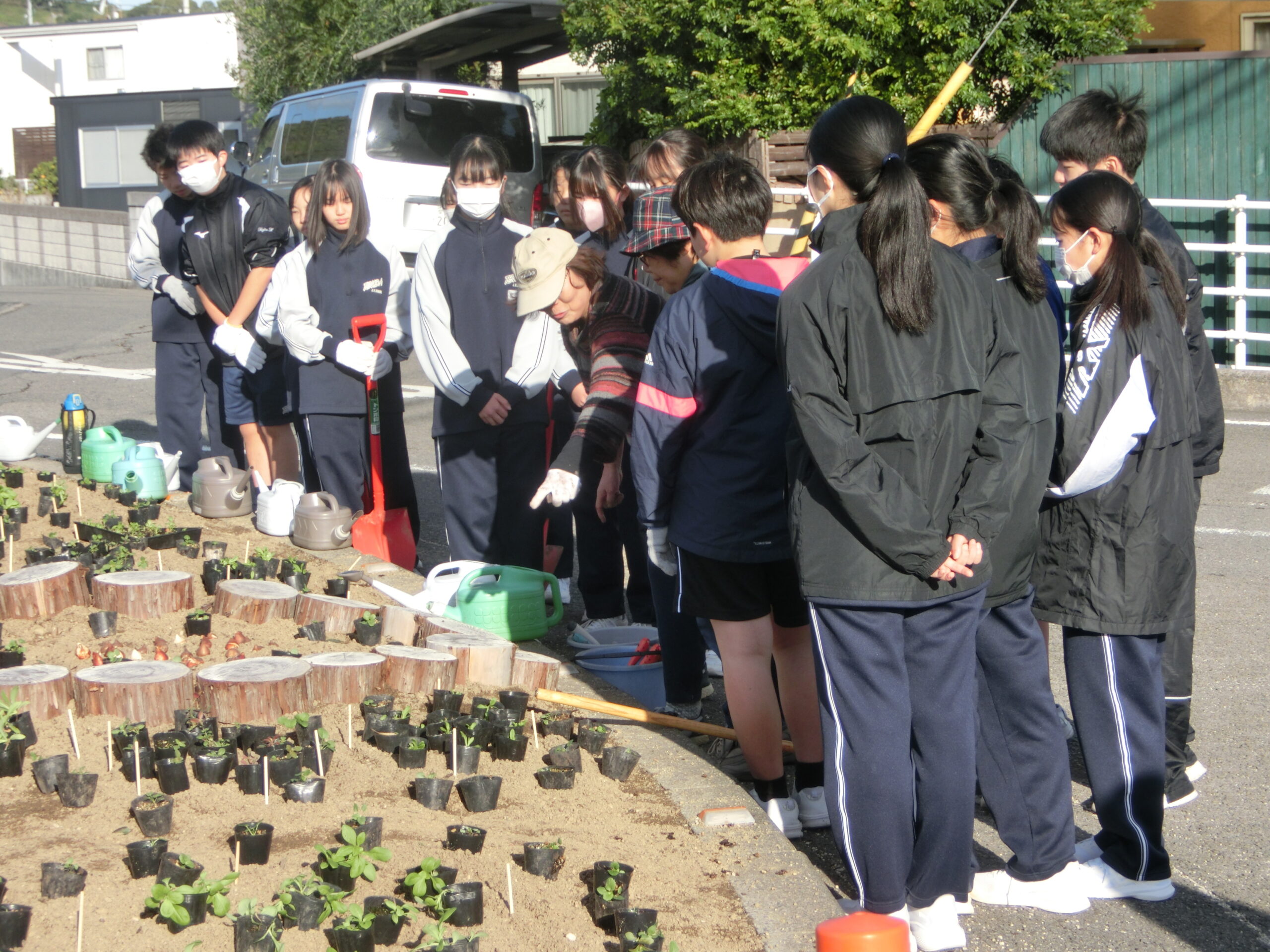 花苗の植え付け説明
