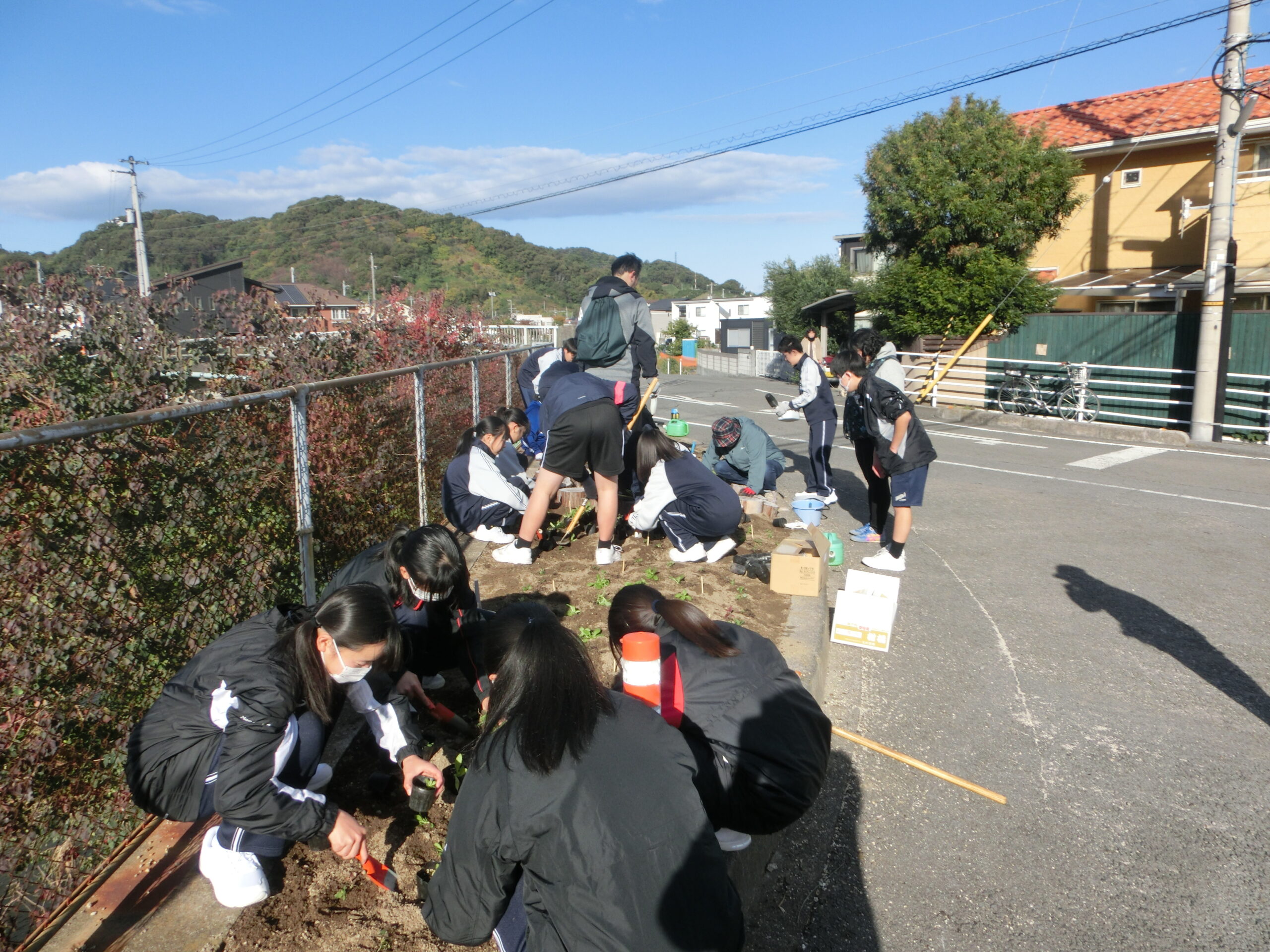 花苗の植え付け作業